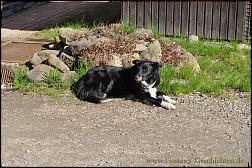 birkenhof 2012-03-25-[09].jpg